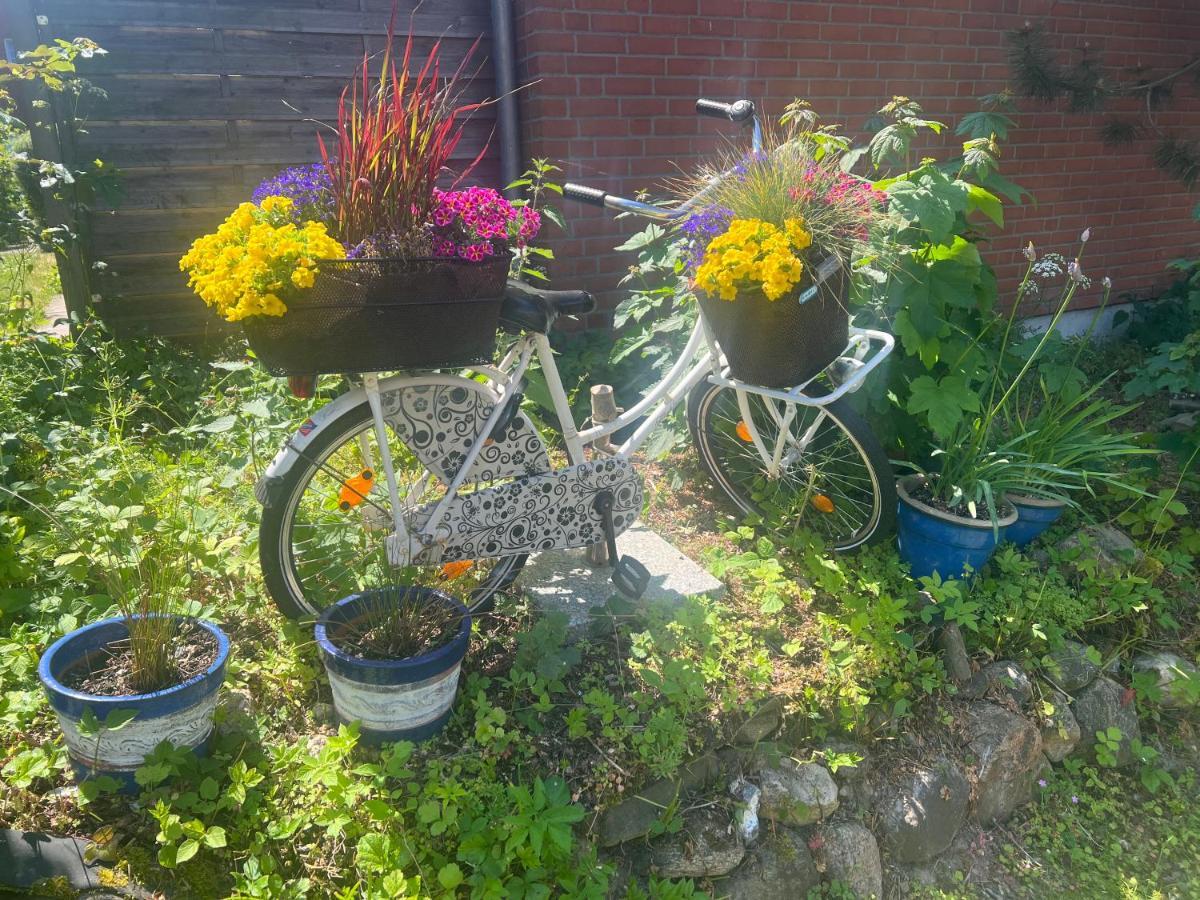 Segelund - Zeit Fuer Uns- Ruhige Und Sonnige Ferienwohnung Mit Terrasse Und Garten Nahe Strand Und Ostsee Schonhagen  Ngoại thất bức ảnh